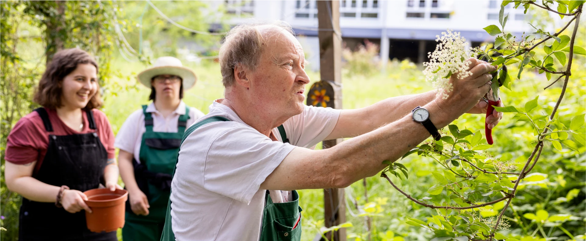 herobild-startseite Ein Mann erntet Holunderblüten, zwei Frauen stehen hinter ihm.
