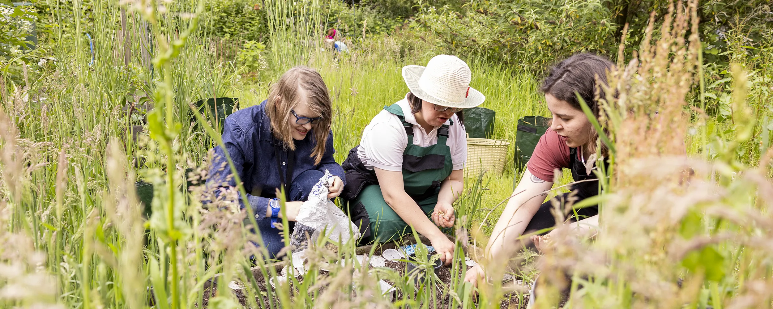 Drei Personen streuen Samen im Garten aus.