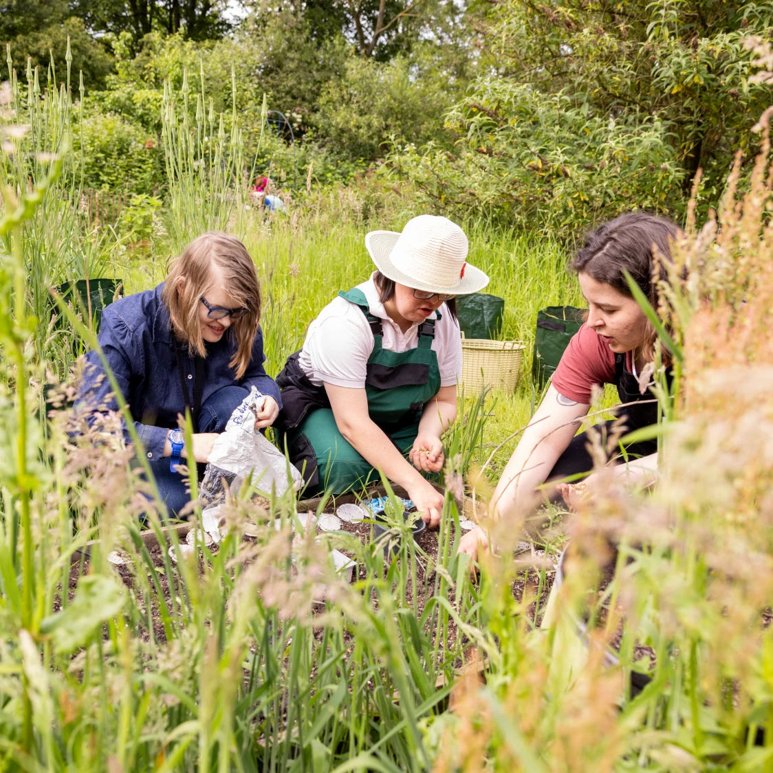 Drei Personen streuen Samen im Garten aus.